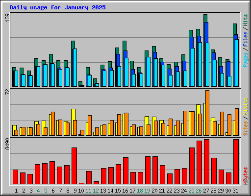 Daily usage for January 2025