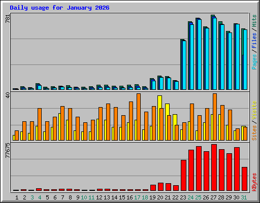 Daily usage for January 2026