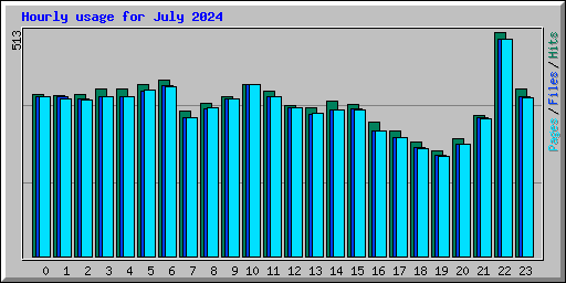 Hourly usage for July 2024