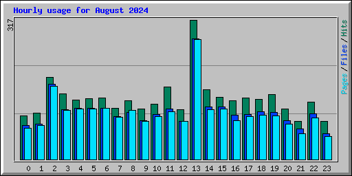 Hourly usage for August 2024