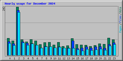 Hourly usage for December 2024