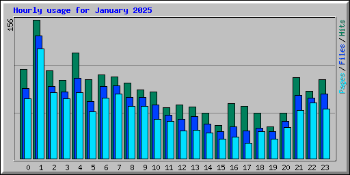 Hourly usage for January 2025