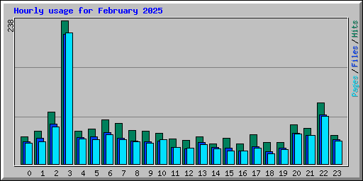 Hourly usage for February 2025
