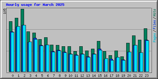 Hourly usage for March 2025