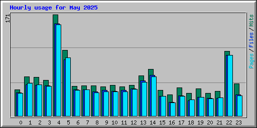 Hourly usage for May 2025