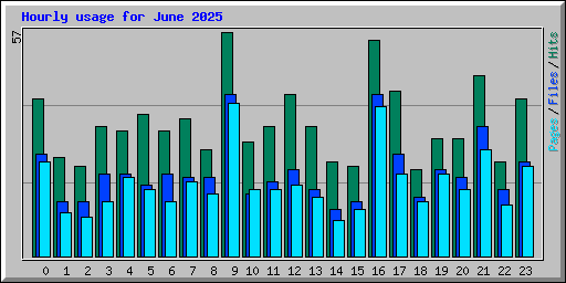 Hourly usage for June 2025