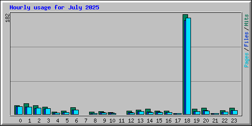 Hourly usage for July 2025