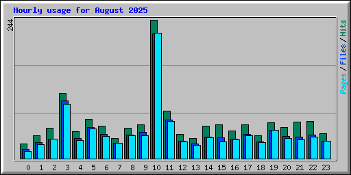 Hourly usage for August 2025