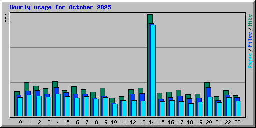 Hourly usage for October 2025