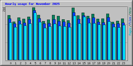 Hourly usage for November 2025