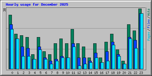 Hourly usage for December 2025