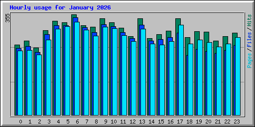 Hourly usage for January 2026